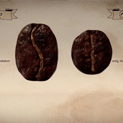 3D Animation Oliver Ende - Arabica Robusta Unterschiede
