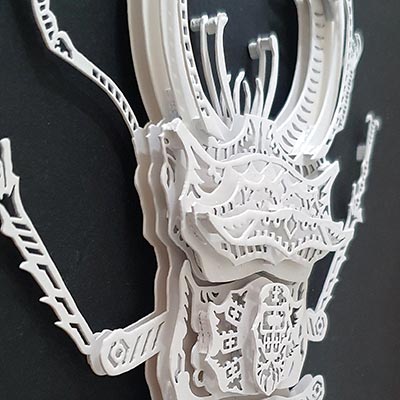 hirschkaefer vorschau